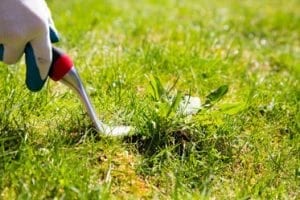 Building & Pest Inspections